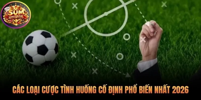 Tổng hợp các kèo đá phạt bóng đá thông dụng nhất