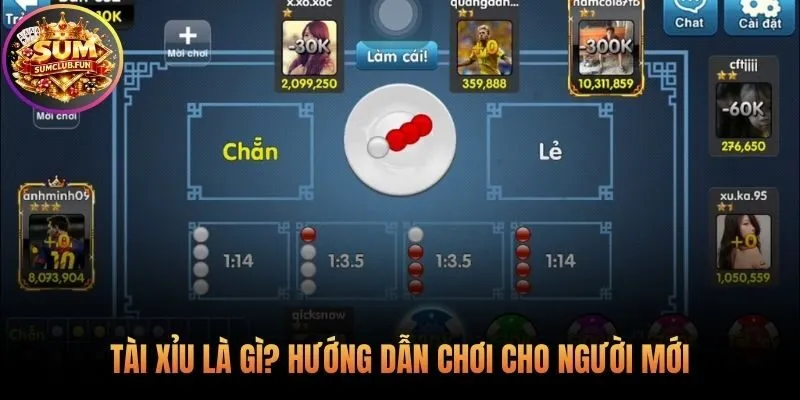 Luật chơi Tài Xỉu nền tảng cho mọi công thức đánh tài xỉu